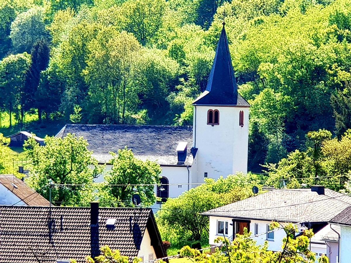 River Mosel Holiday Homes, Meerfeld Studio With A Lake View Eksteriør billede