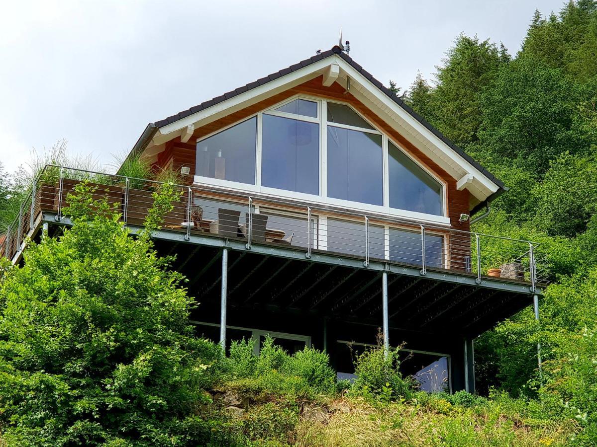 River Mosel Holiday Homes, Meerfeld Studio With A Lake View Eksteriør billede